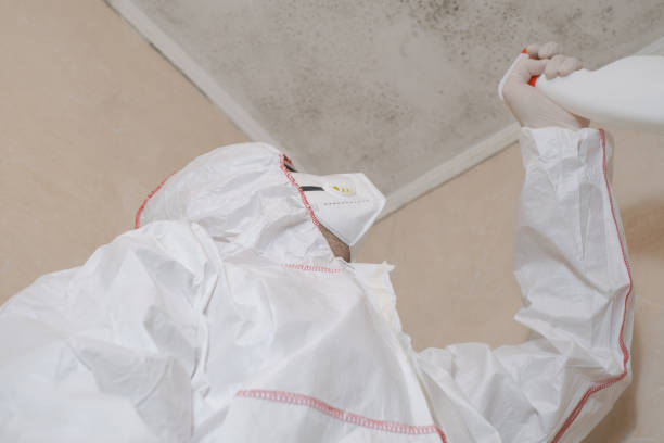 Best Mold Removal and Inspection  in Point Baker, FL