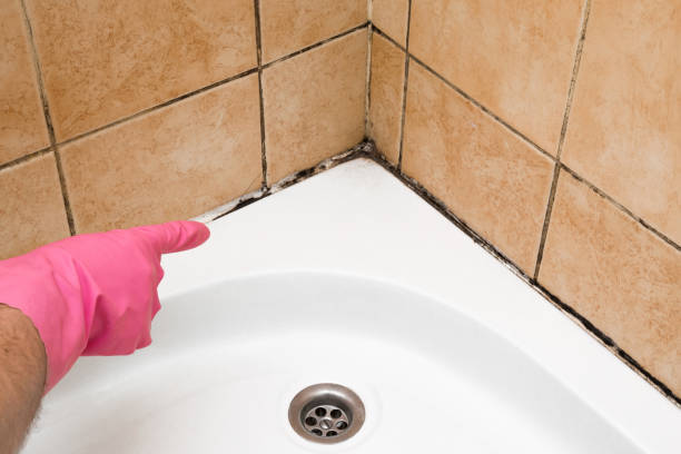 Best Crawl Space Mold Removal  in Point Baker, FL